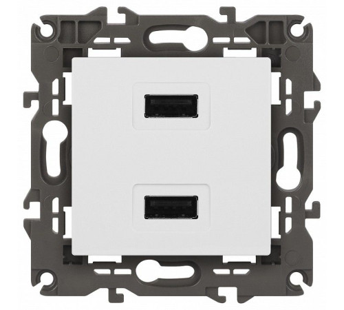 Розетка 2хUSB type A без рамки Эра Эра Elegance 14-4110-01