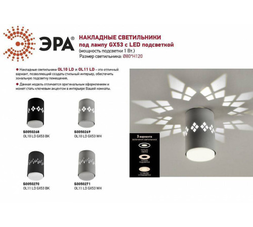 Накладной светильник Эра OL10 Б0050268