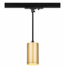 Подвесной светильник Эра  TR45 - GU10 S MG