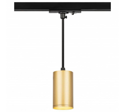 Подвесной светильник Эра TR45 - GU10 S MG