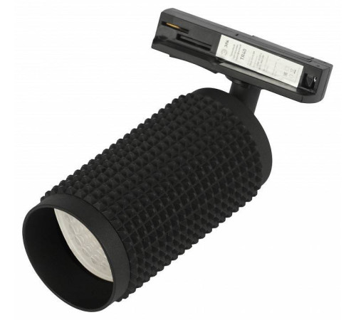 Светильник на штанге Эра TR40-GU10 BK