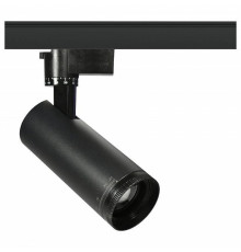 Светильник на штанге Эра  TR59 - 2030 BK