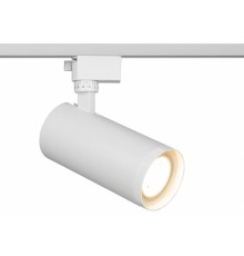 Светильник на штанге Эра  TR59 - 3030 WH