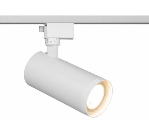 Светильник на штанге Эра TR59 - 3030 WH