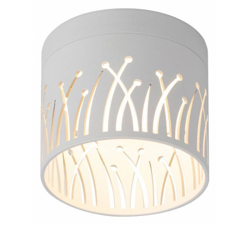 Накладной светильник Эра OL54 WH Б0061191