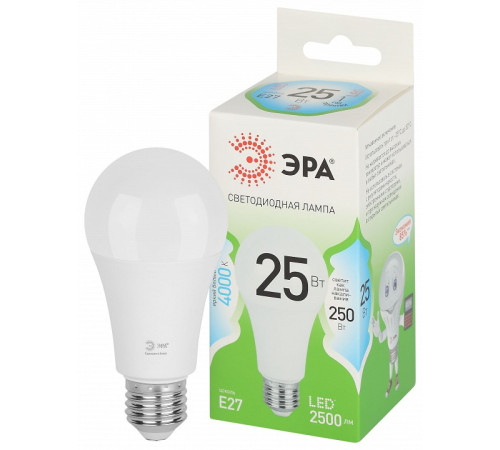Лампа светодиодная Эра Green Line LED A60-25W-840-E27 GL