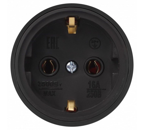 Розетка с заземлением Эра RX11-B-IP44