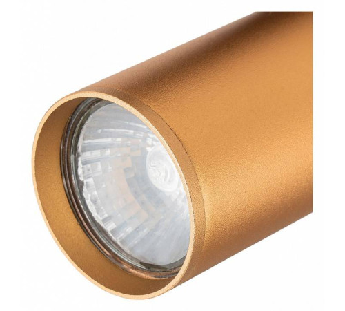 Светильник на штанге Escada 20001 20001TRA/01 BR