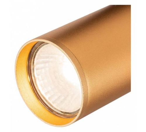 Светильник на штанге Escada 20001 20001TRA/01 BR