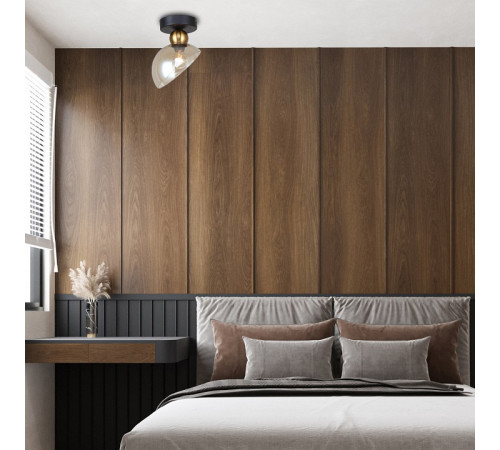 Накладной светильник Escada Liberty 2109/1P