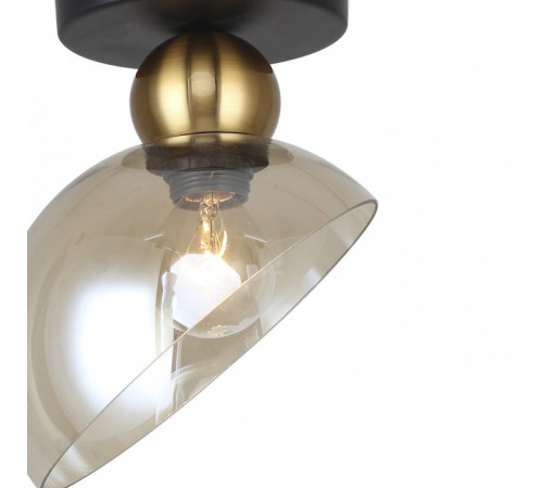 Накладной светильник Escada Liberty 2109/1P