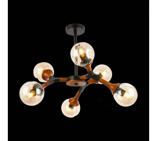 Люстра на штанге EVOLUCE Raquel SLE109402-06