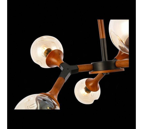 Люстра на штанге EVOLUCE Raquel SLE109402-06