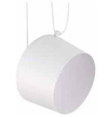 Подвесной светильник EVOLUCE Trieste SLE120653-01