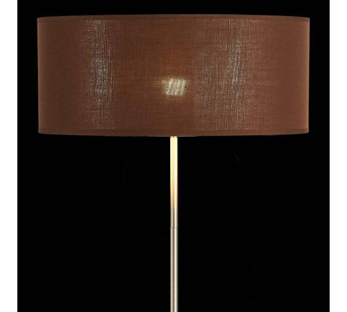 Торшер EVOLUCE Brescia SLE300575-01