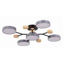 Потолочная люстра EVOLUCE Faema 5 ламп SLE6006-702-05