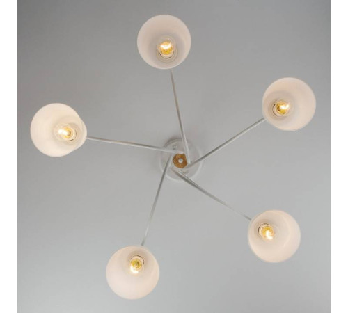 Потолочная люстра Eurosvet Betty 70062/5 белый