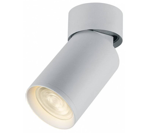 Светильник на штанге Feron Barrel 41876