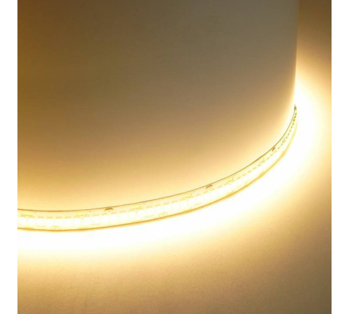 Лента светодиодная Feron LS503 48829