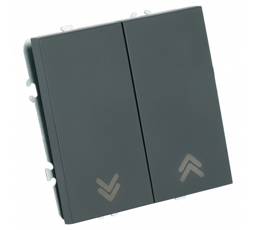 Выключатель самовозвратный двухклавишный без рамки Stekker Эмили 50327