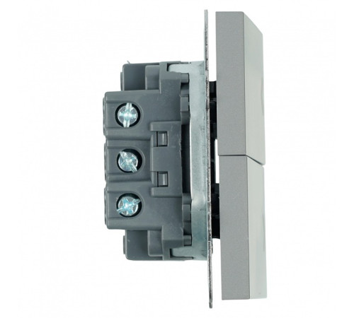 Выключатель самовозвратный двухклавишный без рамки Stekker Эмили 50329