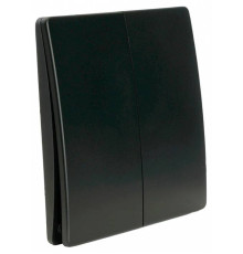 Выключатель беспроводной двухклавишный Feron TM92 51027