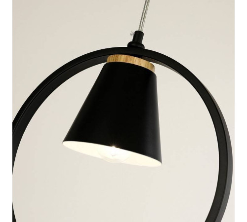 Подвесной светильник F-promo Uccello 2938-1P