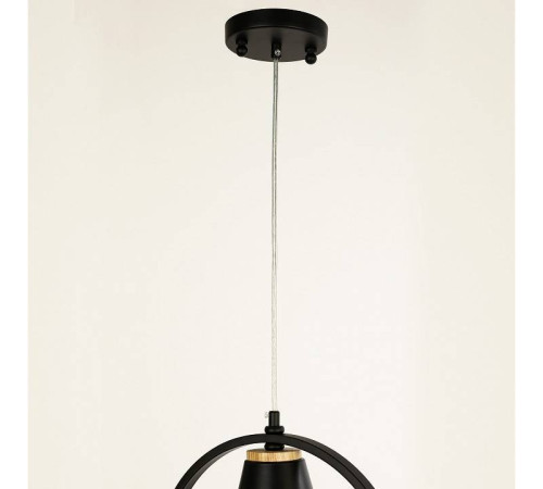 Подвесной светильник F-promo Uccello 2938-1P