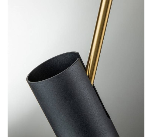 Светильник на штанге Favourite Light point 2997-1P