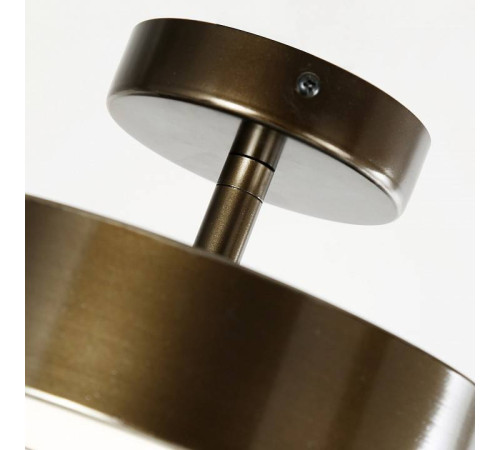 Светильник на штанге F-promo Atma 3060-2P