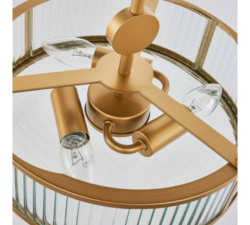 Люстра подвесная Favourite Radiales 3099-3P