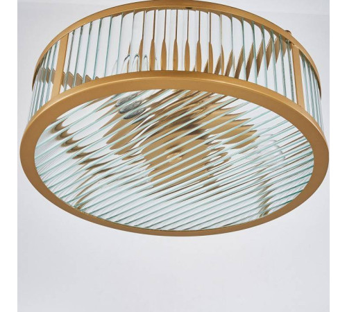 Люстра подвесная Favourite Radiales 3099-3P