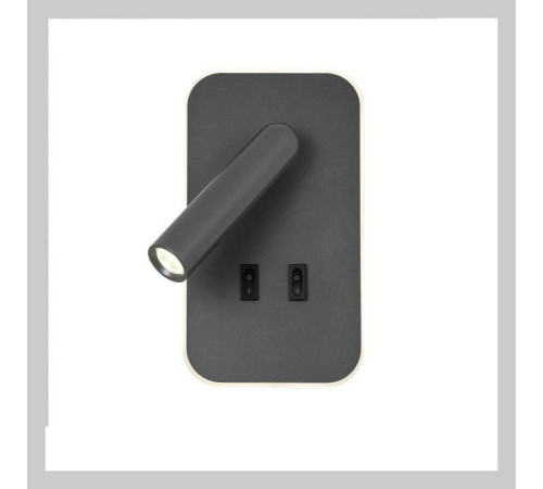 Бра с подсветкой Favourite Bedside 4499-2W