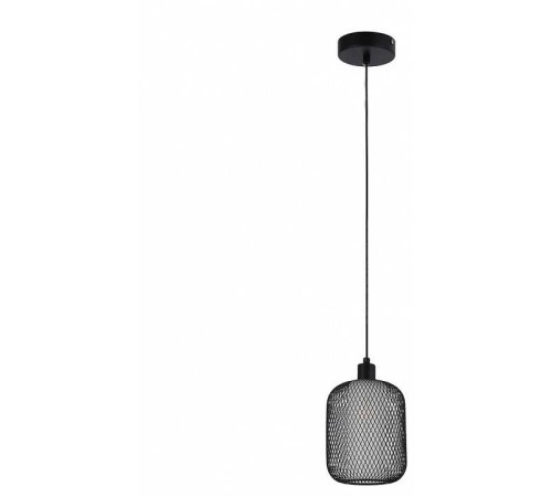 Подвесной светильник F-Promo Tokri 4602-1P