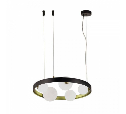 Подвесная люстра F-promo Shanku 4628-5P