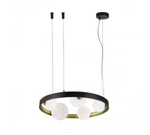 Подвесная люстра F-promo Shanku 4628-5P