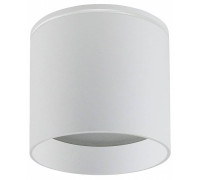 Накладной светильник Favourite Fantum 4662-1U