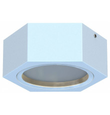 Накладной светильник Favourite Fantum 4665-1U