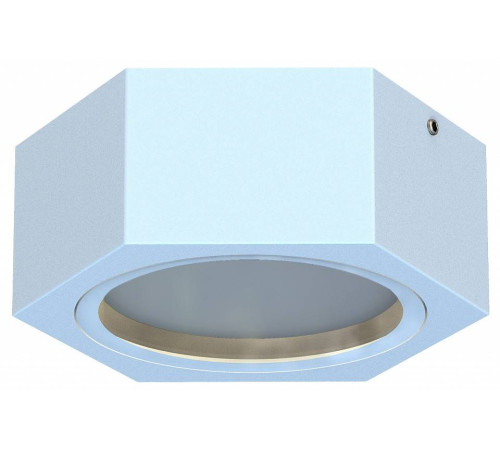 Накладной светильник Favourite Fantum 4665-1U