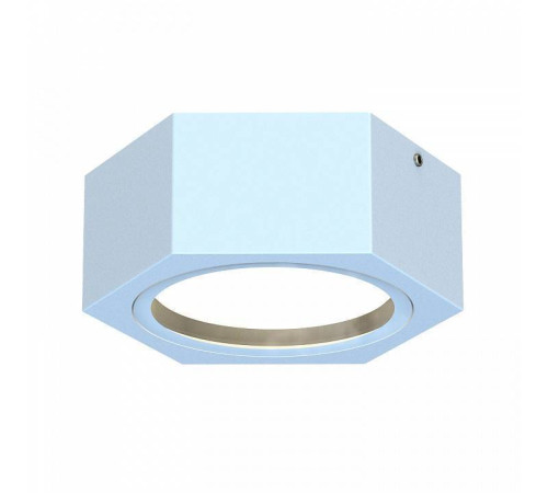 Накладной светильник Favourite Fantum 4665-1U