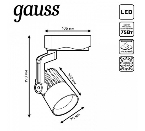 Светильник на штанге Gauss Track Light TR061