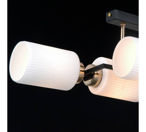 Потолочная люстра ILLUMICO NAPLES IL0809-4ASQ-25 BK AB NAPLES