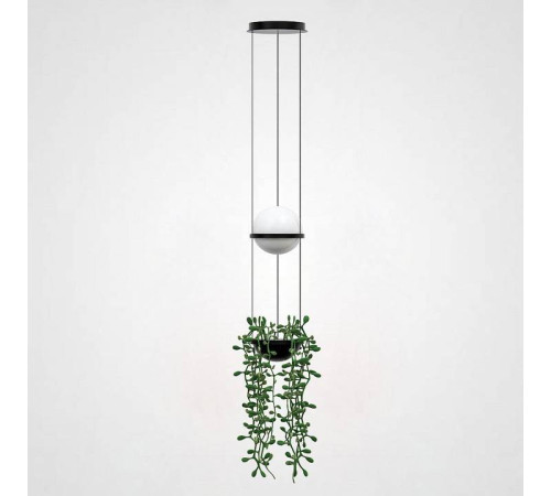 Подвесной светильник Imperiumloft Palma Wall Lamp 22.93727