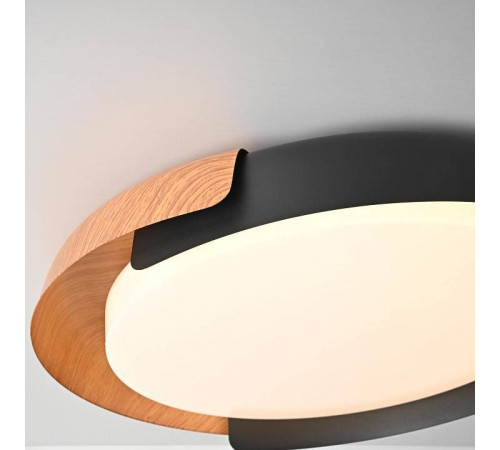 Накладной светильник Imperiumloft ADDA adda01