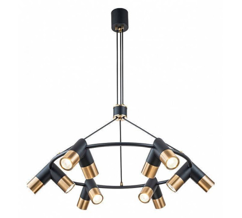 Подвесная люстра Indigo Doppio 11036/12P Black