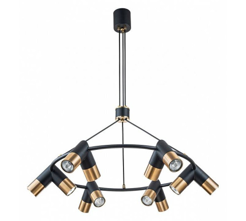 Подвесная люстра Indigo Doppio 11036/12P Black