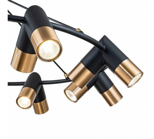 Подвесная люстра Indigo Doppio 11036/16P Black