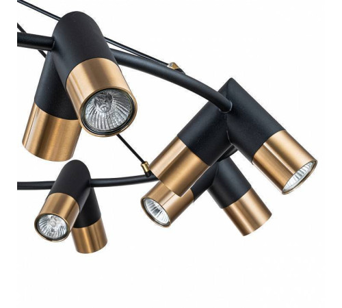 Подвесная люстра Indigo Doppio 11036/16P Black