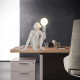 Настольная лампа декоративная Inodesign Monkey INO_Monkey 42.3131