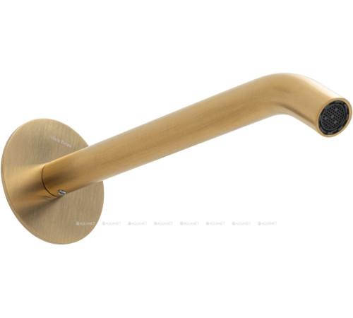 Излив из стены Allen Brau Priority 3.0L встраиваемый 200 мм браш. золото 5.31B18-GB